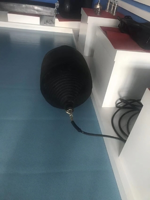D1M*EL12M Fender de borracha tipo W para protecção de cais 6-8 anos de vida útil