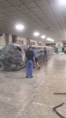 Diâmetro 30-5000 mm Airbag de lançamento de navio para máxima eficiência na instalação de rolamento ou elevação